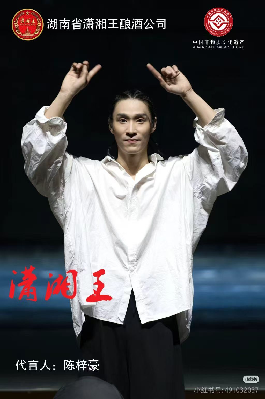 湖南省潇湘王酿酒有限公司形象代言人